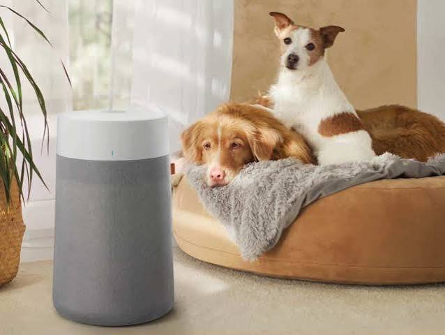 The 7 Best Air Purifiers You Can Count On (2026)